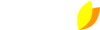 logo ULEX